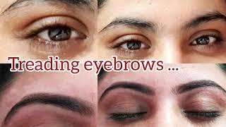 eyebrows  treading  v shapes by salon shiny