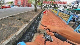 Misi Memburu Haruan di Tengah Bandar! ( Haruan Street Fishing )