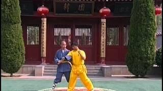 Shaolin 32 Methods of Qin Na