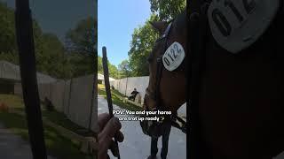Have you ever wondered What a Vet Check Looks Like? Accompany us in Rotterdam 