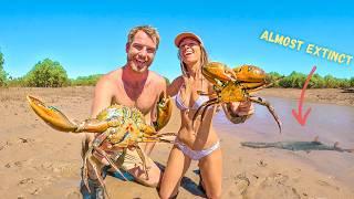 Exploring for GIANT MUDCRABS and Rare Species in Remote Australia