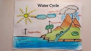 How to draw Water Cycle for a School Project | Very Esay | Step by step water cycle drawing #all