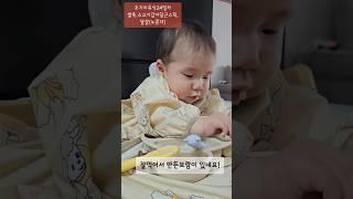 [아기주도이유식]초기이유식24일차-쌀죽,소고기감자당근스틱,달걀(노른자) #아기 #6개월아기 #아기주도이유식 #blw