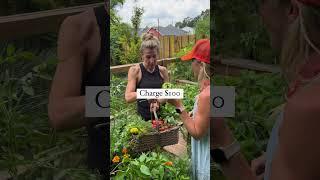 The Simplest Way To Earn $$$ As a Gardener #gardenary #gardenconsultant #gardeningtips