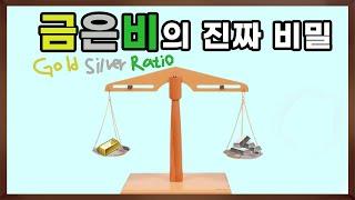 금은비. 제대로 알고 보자!