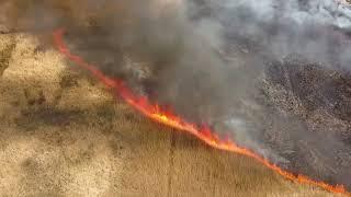 Campagna antincendio boschivo 2022 - Calabria Verde