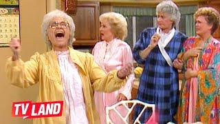 Best Cheesecake Moments on The Golden Girls  TV Land