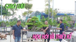 NamLe Bonsai | Chia sẻ kinh nghiệm và giao lưu với nhà vườn em Bính Hậu Lộc Thanh Hóa