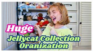 Organize my huge Jellycat Collection!