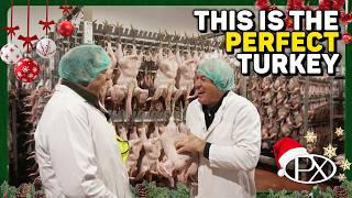 How Your Christmas Dinner is Made: Behind the Scenes at Kelly Turkeys!