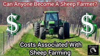 Can Anyone Become A Sheep Farmer? Costs Associated With Sheep Farming |May 2022