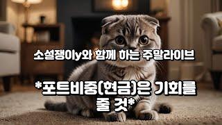 포트비중 (현금)은 기회를 줄 것