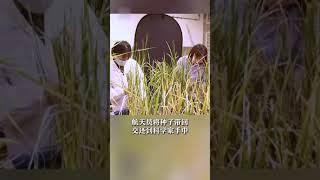 中国找到在太空生产粮食的可靠途径！|  财经风云