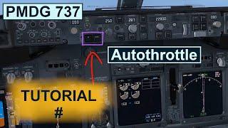 PMDG 737 Autopilot Tutorial Explaining The Basics Of The Autothrottle[1080HD]