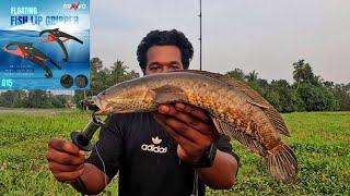 Bravvo New Floting Lip Gripper | Snakehead Fishing Videos | Fishing Kerala | Frog Lure