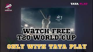 t20 world cup 