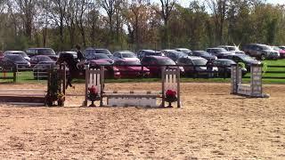 Rena DiPaula and Trickary - Novice Fences - Goucher