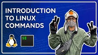 Introduction to Linux & Terminal Commands - Full Course for Beginners