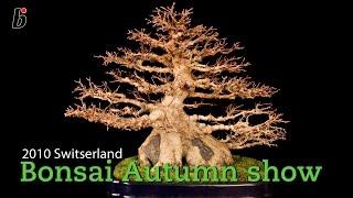 Bonsai Focus visit to Bonsai Autumn - Switserland 2010