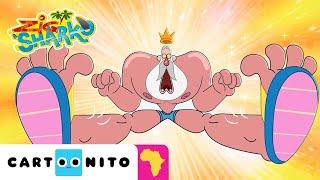 Dad and the Magic Slides | Zig & Sharko | Cartoonito Africa