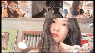 이것저것그것요것