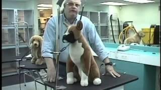Groomers Helper Training Video