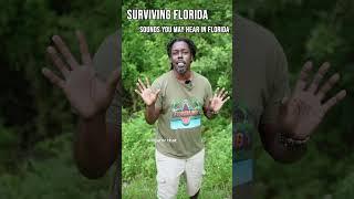 How to Survive in Florida (The Sound)