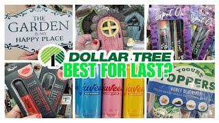 ‼️OMG THIS DOLLAR TREE SHOP WITH ME FOR 2025 MAY SEND US to DOLLAR TREE REHAB #dollartreeshopping