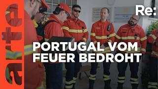 Portugals Kampf gegen Megafeuer | ARTE Re: