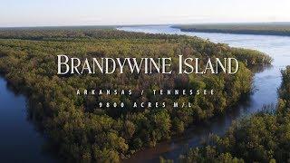 Brandywine Island |  Crittenden County AR | 2300