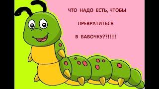 Борис Заходер  "История гусеницы"