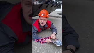 Cukurova 884 – устоять невозможно! #shrots #shortsvideo #professional