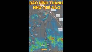 Bí Ẩn Hình Thành Bão Và Lý Do Bão Đổ Bộ Vào Đất Liền: Hiểu Ngay Để Bảo Vệ Gia Đình Bạn!