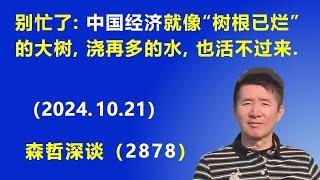 别忙了：中国经济就像“树根已烂”的大树，浇再多的水，树也活不过来.（2024.10.21）