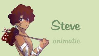 Steve [Alec Benjamin] - Animatic