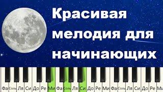 Идеальная Красивая мелодия для начинающих. Fly Me to the moon