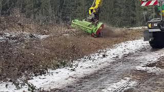 Forstmulcher FM-1250 an einem Energreen Ausleger, Bagger, Rodung, Fällgreifer