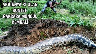 REAL..!! FINALLY BUNTET SNAKE MONSTER APPEARS SHAKES THE SOIL | PYTHON SNAKE | ADVENTURE MANDA