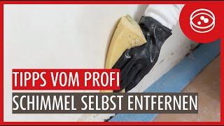 Schimmel an der Wand im Haus selbst entfernen: Bis zu diesem Ausmaß möglich | Ratgeber vom Experten