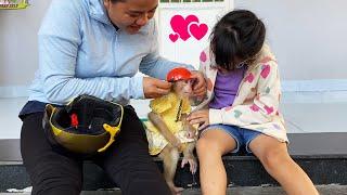 Monkey LyLy and happy moments visiting her great-grandmother