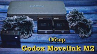 Обзор Godox Movelink M2