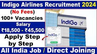 Indigo Airlines Job Vacancies 2024 | Indigo Hiring | Airport Job Vacancy | Private Job Vacancy 2024