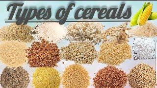 types of cereals#cereals name#cereals name in english#cereals