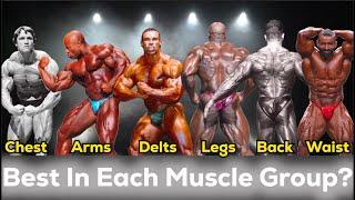 The Best Bodybuilder in Each Muscle Group