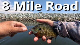 8 Mile Road Fishing! Stockton, Galt and Lodi Hot Spot!