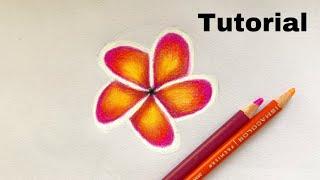 How To Draw Colorful Flower | Color Pencil Tutorial