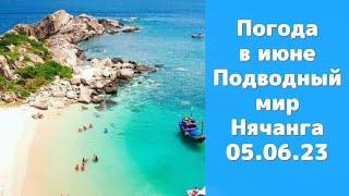 Погода в Нячанге в июне / Новости города / Прямые рейсы с РФ в Нячанг все ближе