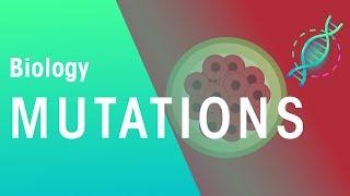 Mutations | Genetics | Biology | FuseSchool