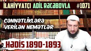 Cənnətliklərə verilən nemətlər | RiyadusSalihin #1071 | SUAL-CAVAB | Adil Rəcəbov