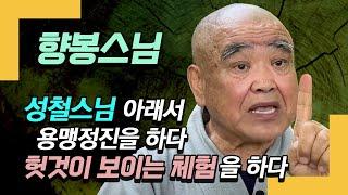 향봉스님, 성철스님 아래서 겪은 용맹정진 일화 : 1주일을 용맹정진하다 헛것을 보다